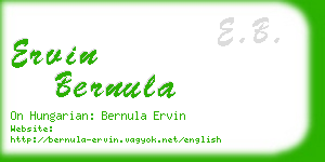 ervin bernula business card